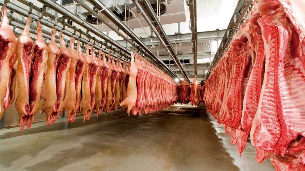 carne exportación