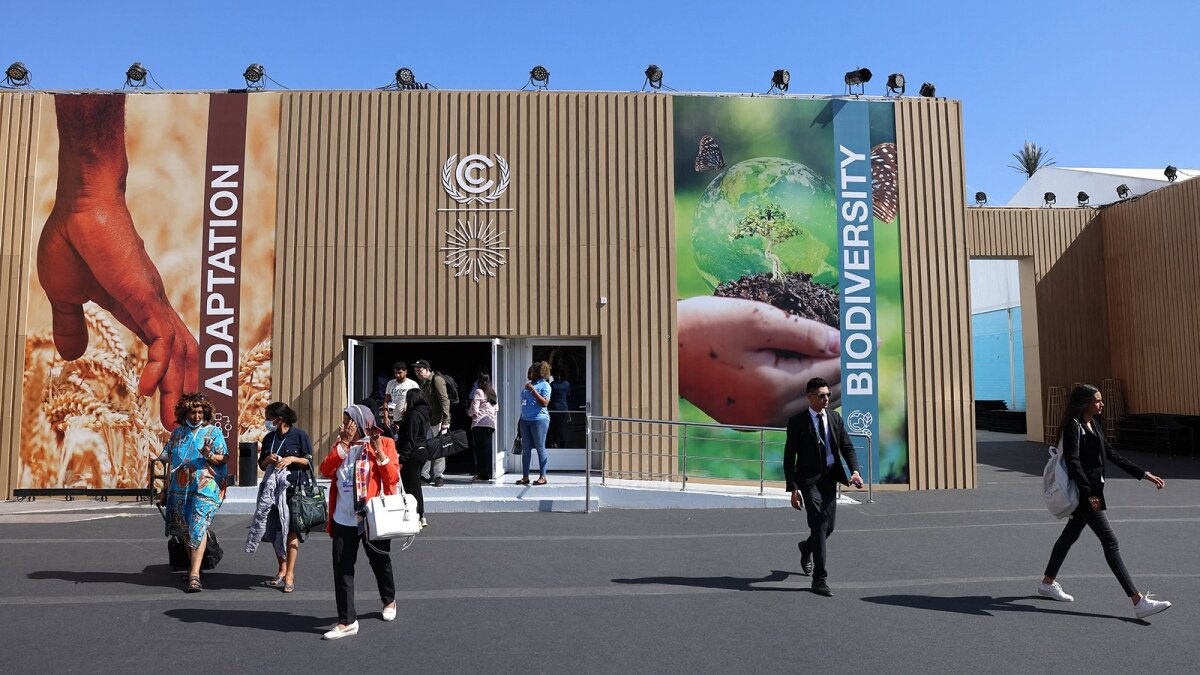 cop27 cambio climático