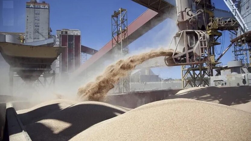 granos exportaciones campo agroexportaciones cosecha